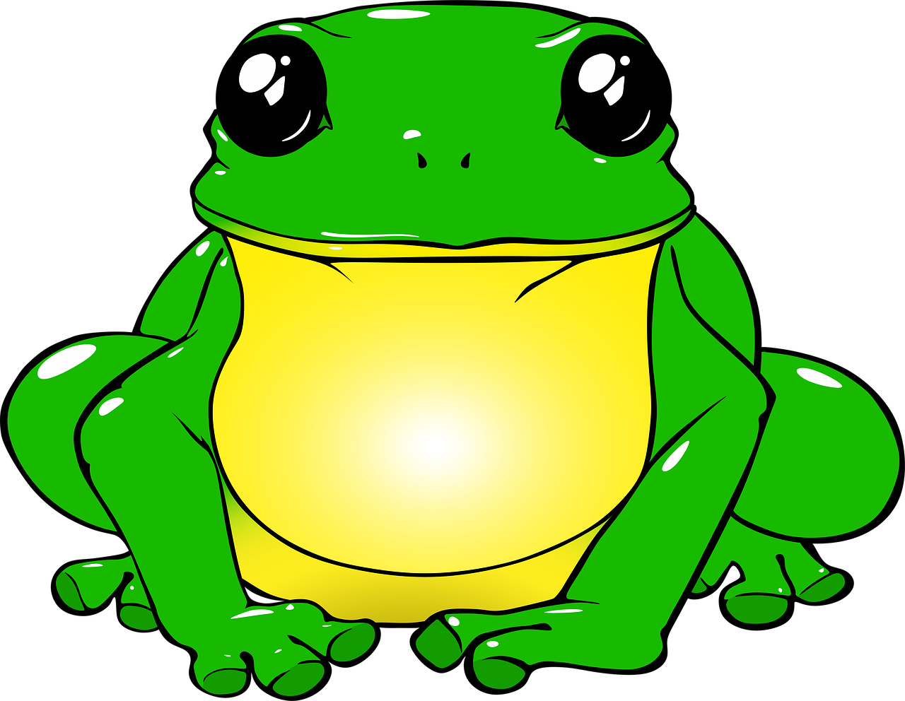 Frog 3