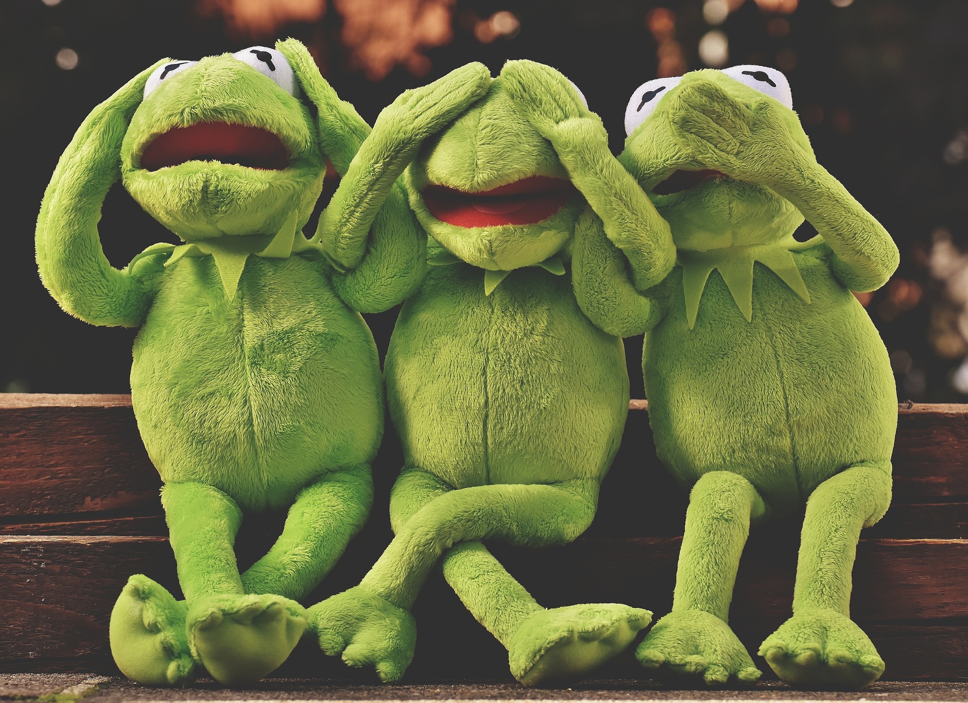 Frog 2